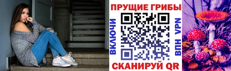Галлюциногенные грибы Psilocybe  наркота  Белебей 