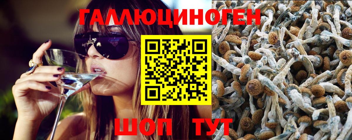 Псилоцибиновые грибы Psilocybine cubensis Белебей