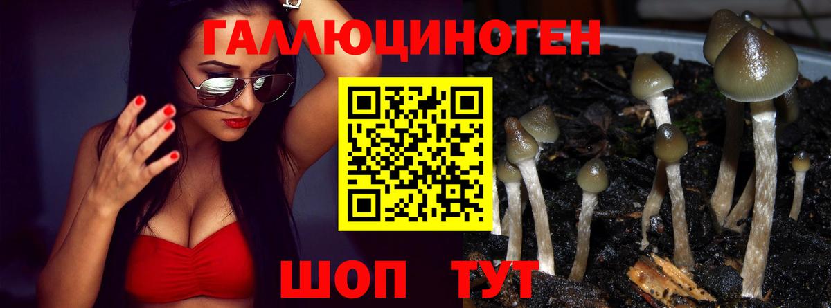 Псилоцибиновые грибы MAGIC MUSHROOMS  Вход с VPN  Белебей  Псилоцибиновые грибы мухоморы 
